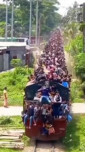 Pajeet and Co: small, private family gathering on their way to a picnic near a nuclear powerplant.