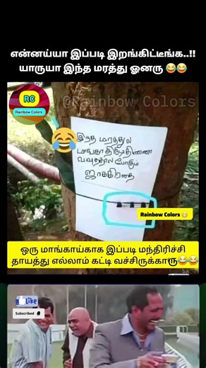 Mango Tree Owner Alaparaigal 😂😂