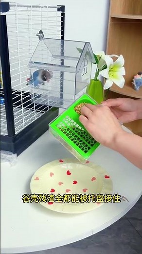 Parrots love bathtubs, even in winter. It would be so convenient to install this bathtub in the