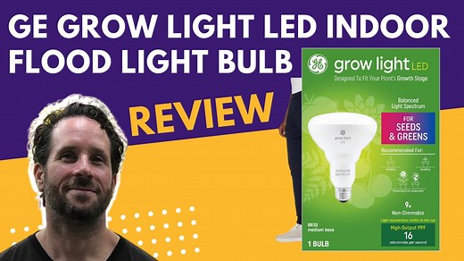 Watch GE Grow Light LED Indoor Flood Light Bulb Review on Amazon Live