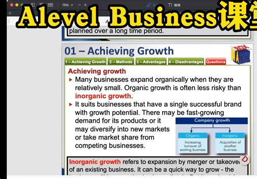 Alevel Business/商业/商务课程 1.5小时