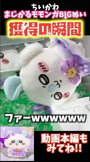 【ちいかわクレゲ】まじかるモモンガBIGぬいぐるみ獲得の瞬間！#ちいかわ #ちい活 #クレーンゲーム #UFOキャッチャー #chiikawa #プライズ獲得 #ちいかわグッズ #吉伊卡哇