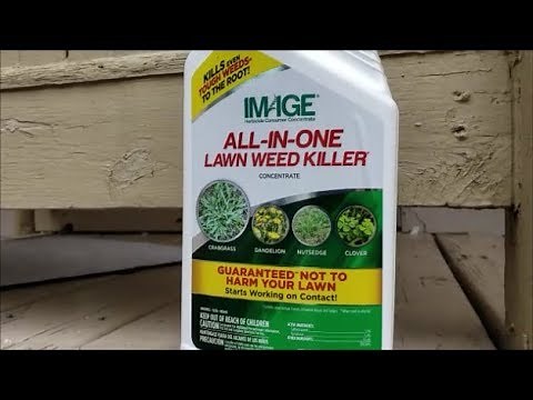Finally! A Goosegrass Killer!!