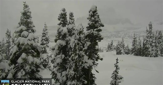 Snowfall surprises Glacier National Park during summer solstice