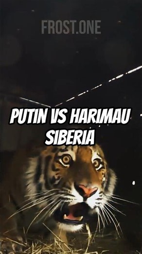 Revealing the Facts: Putin vs. The Siberian Tiger