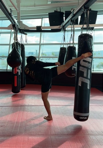 Brazilian Kick in the UFC PI 🥋🇧🇷 @UFC Brasil #ufc #ufcbrasil #tutorial #karate #taekwondo