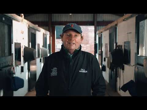 Behind-the-Scenes at a RACING YARD Documentary feat. Francesca Cumani I Old Gold Racing Presents