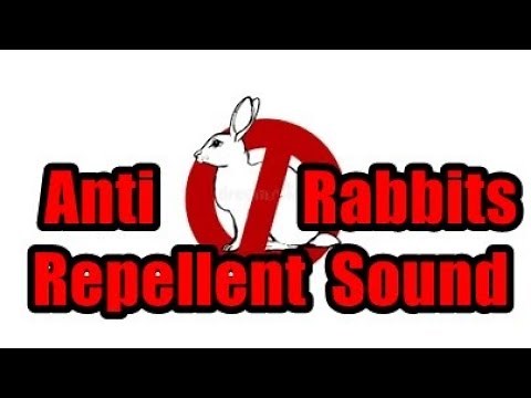Anti Rabbits Repellent Sound