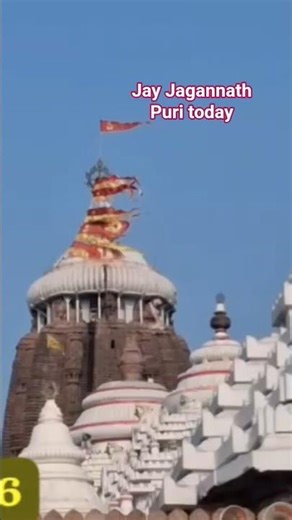 Bhabara Sahare Mora Shorts | Kumar Bapi Bhajan | Trending Jagannath Bhajan | Jay Jagannath Status