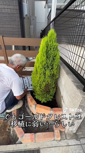 花壇作りの続き：レンガのカットと設置
