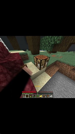 Learning All Overworld Types : Minecraft Speedrunning [Practice Edition] #minecraftspeedrun #shorts