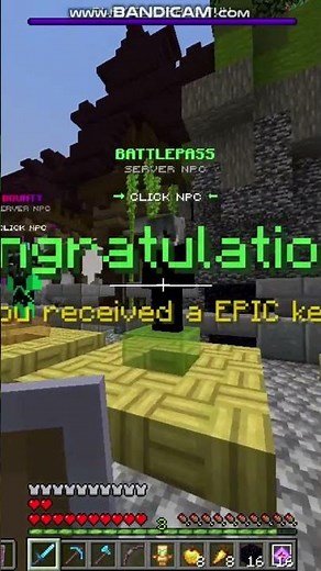 The BEST Elytra Server in Minecraft? | Full ElytraMC Tour!