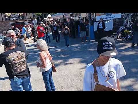 WILLIES TROPICAL TATTOO CHOPPER SHOW 2025