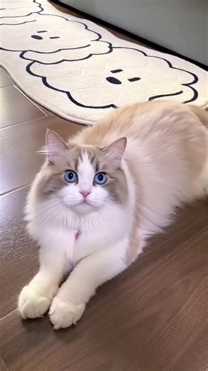 cat says pikachu #pokemon #pikachu #memes #cat #suncats #cuteanimal #cute #cutecat #minions