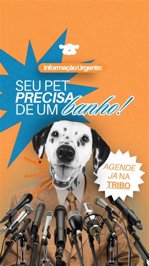 Tribo do Banho | Banho & Tosa on Instagram: "🐾Só um lembrete de que a agenda da semana ja está aberta! 🐾 📲 Chame a gente e garanta seu banho na Tribo do Banho!"