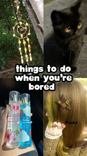 Things to do When You're Bored🌵🦮
