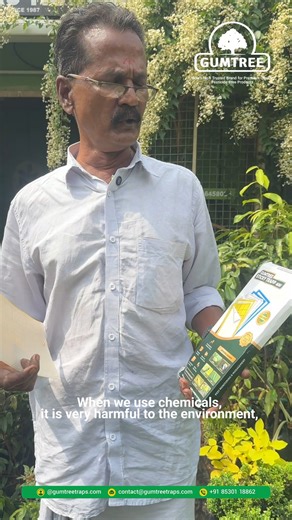 Gumtree Traps on Instagram: "Stop compromising your air and environment with harsh chemicals. The Gumtree Sticky Trapp is designed for superior pest capture with zero chemical pollution. ​ We proudly recommend this atmosphere-friendly product for every professional grower. ​Gumtree Sticky Trapp: The smart choice for your nursery. #gumtree #gumtreeproducts #happycoustomer #realresults #stickytrap #GardeningHacks #gardening #garden #gardeningtips"