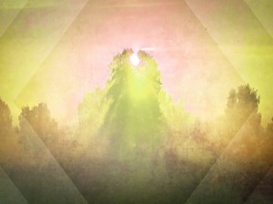 Spring Morning Yellow Motion | Playback Media