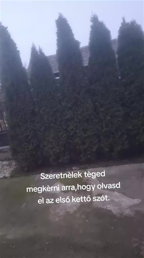 Rèka💗🤍 (@kiss.reka8) videója, benne: eredeti hang - 💕🧸Domcsi🧸💕