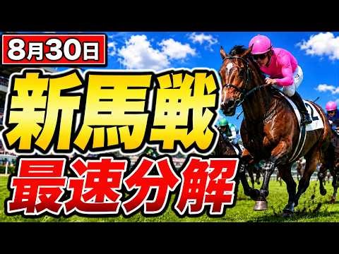 【速報】キレ良しPOG評判馬チェスティーノ快勝を最速分解。さらに大幅不利を豪脚勝ち切りギャルズマインドも