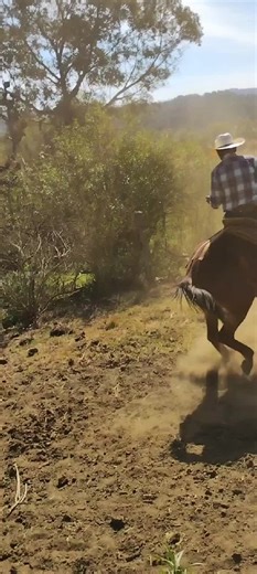 Videos de Frankjavivm (@franciscojavierva530) con “Dos Vicios - Mariachi - Ezequiel Peña”