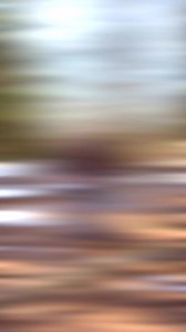 5K views · 92 reactions | Could we say that the first major...