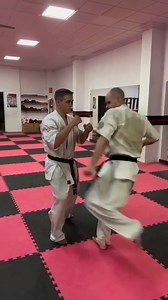6.3K views · 76 reactions | Let's train a thigh kit? | Karate Techniques | Facebook