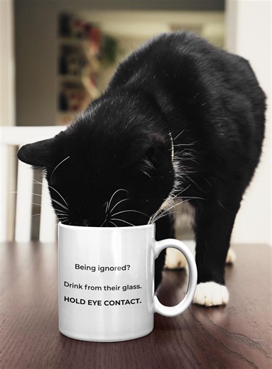 Funny Cat Mug Being Ignored Drink From Their Glass Hold Eye Contact Mug Sarcastic Cat Lover Gift Office Humor Coffee Mug Gift - Etsy
