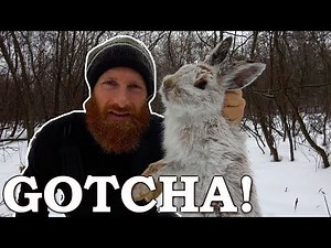 Rabbit LIVE CATCH in (Real Time!) | Snare, Catch, Cook, Clean Snowshoe Hare!