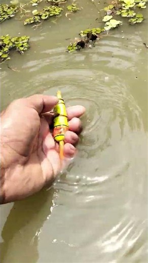 Best fishing !!🙆 😲!!? Part-3581 #reels #viralreelsシ #foryouシ