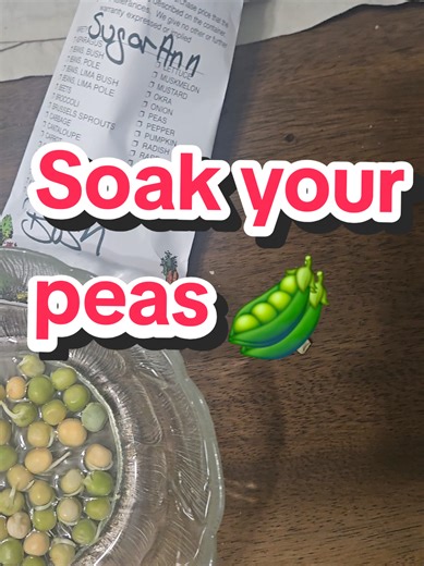 legumes add nitrogen to the soil #SoilRegeneration #foodsecurity #permaculture