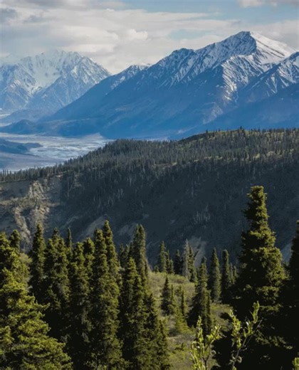 Nations Photo Lab on TikTok