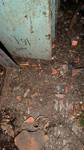 13K views · 194 reactions | In this video we explore an abandoned...