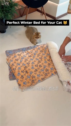 Perfect winter bed for your Cat 😺 #shorts
