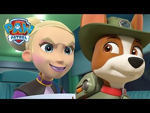 Jungle Rescue pups stop Cheetah from destroying the trees! PAW Patrol Cartoons for Kids Compilation - Videos For Kids