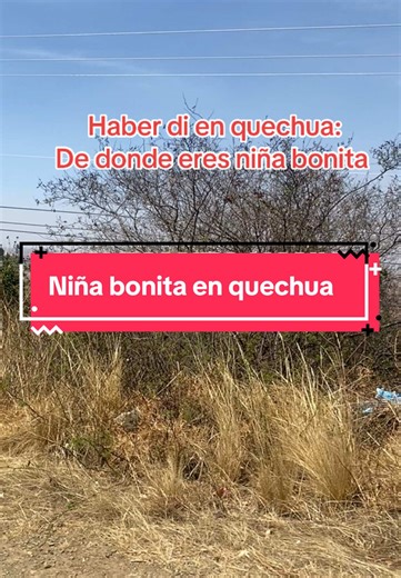 Descubre el Quechua: Idioma del Mundo Andino