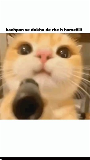 EVS ka evolution 😹