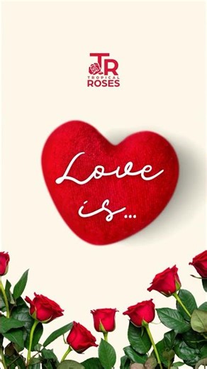 💘 Valentine’s Roses Collage Inspiration! 🌹#ValentinesDay #Roses #ValentineBouquets