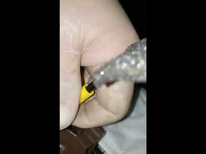 Window problem 2014 Cadillac SRX part 1