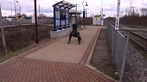 9.2K views · 19 reactions | Sometimes our reporters have interesting...