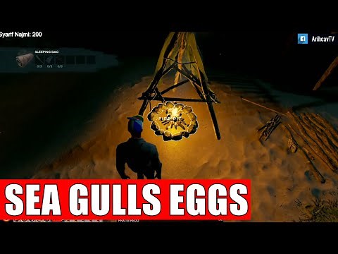 Stranded Deep - How To Cook Eggs Easy Way | Can Also Unlock Gone Green Trophy
