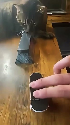 Top 3 Are You Serious Moments Caught on Camera. #unexpected #best #tiktok