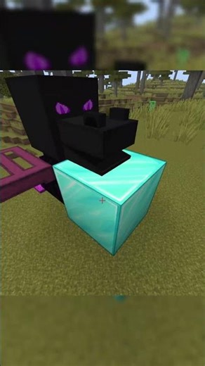 Small Dragon in minecraft