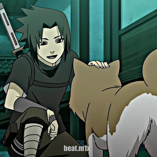 Sasuke's Favorite Animals Revealed