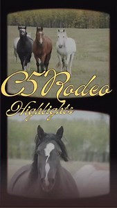 Stock That Defined the Season. All month long, we’ll be highlighting the horses and bulls that left their mark in 2025. | C5 Rodeo