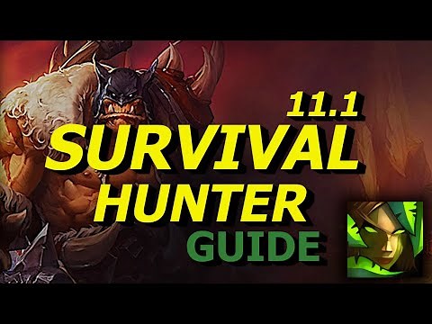 Survival Hunter PVE GUIDE for Season 2! Talents, Rotation, Stats, and More!