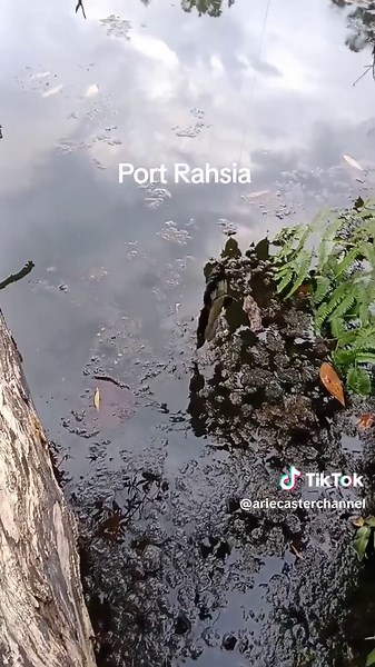 Teknik Memancing Luyan dengan Seahawk Flexsis