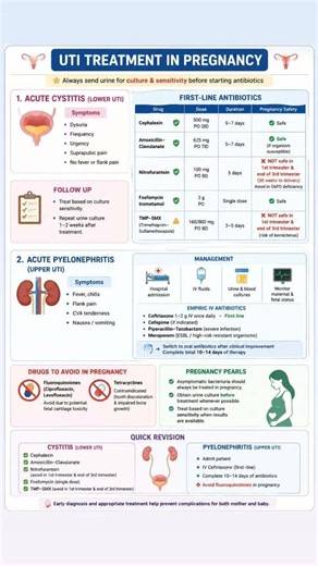 UTI Treatment in Pregnancy | High-Yield Revision#MedicalEducation #OBGYN #Pregnancy #UTI