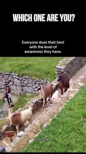 Each person acts according