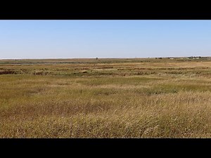 Conservation Reserve Program (CRP ) Signup - NDGNF - 01-30-2020